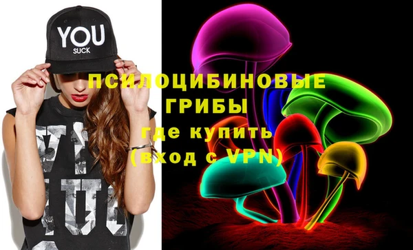ПСИЛОЦИБИНОВЫЕ ГРИБЫ Тутаев