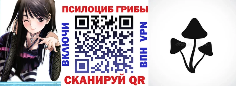 Купить где Конаково Псилоцибиновые грибы Psilocybine cubensis